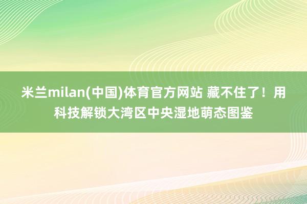 米兰milan(中国)体育官方网站 藏不住了！用科技解锁大湾区中央湿地萌态图鉴