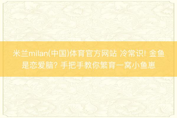 米兰milan(中国)体育官方网站 冷常识! 金鱼是恋爱脑? 手把手教你繁育一窝小鱼崽