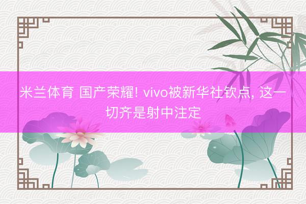 米兰体育 国产荣耀! vivo被新华社钦点， 这一切齐是射中注定