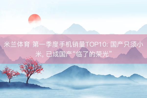 米兰体育 第一季度手机销量TOP10: 国产只须小米, 已成国产“临了的荣光”