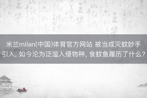 米兰milan(中国)体育官方网站 被当成灭蚊妙手引入， 如今沦为泛滥入侵物种， 食蚊鱼履历了什么?