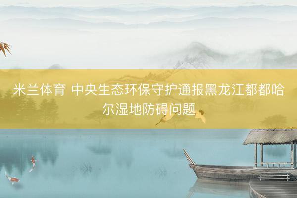 米兰体育 中央生态环保守护通报黑龙江都都哈尔湿地防碍问题