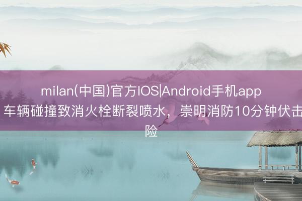 milan(中国)官方IOS|Android手机app下载 车辆碰撞致消火栓断裂喷水，崇明消防10分钟伏击排险