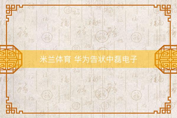 米兰体育 华为告状中磊电子